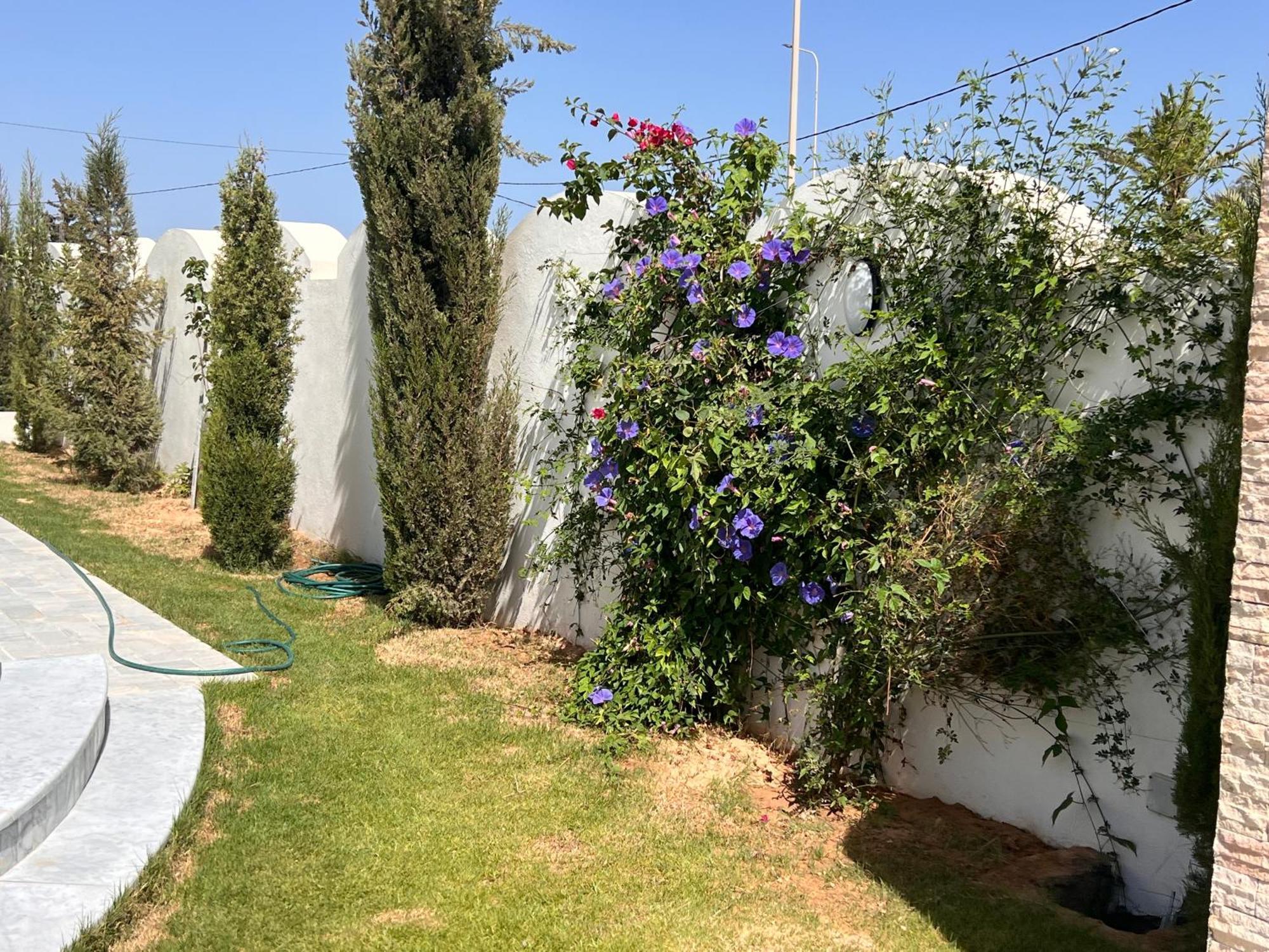Villalina Haut Standing Djerba Ajim Екстер'єр фото